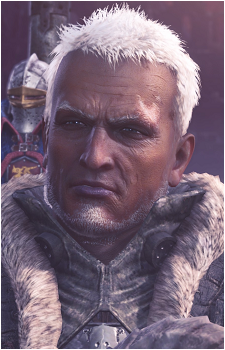 Commander's image