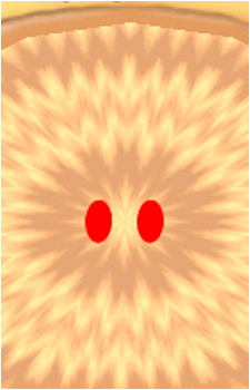 Arijigokun's image