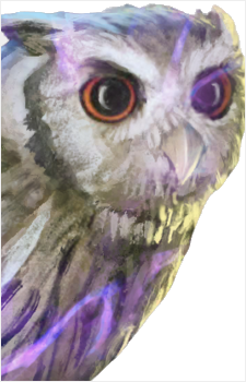 Pigwidgeon's image