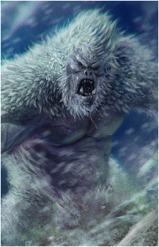 Yeti's image
