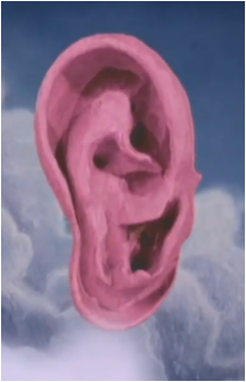 Left Ear's image