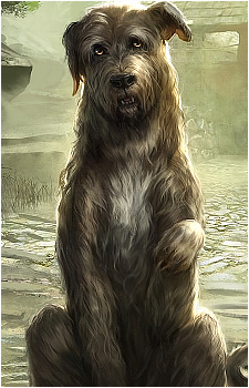 Barbas