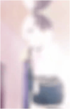 Image 31