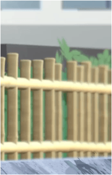 Image 21