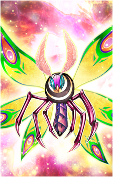 Primitive Butterfly's image