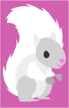 The Squirrel's image