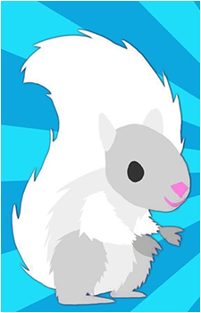 The Squirrel's image