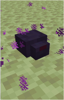 Endermite's image