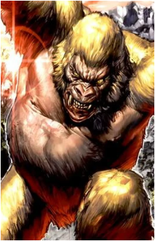 Congorilla's image