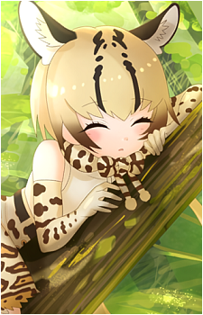 Ocelot {KF}