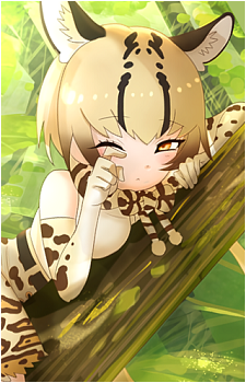 Ocelot {KF}