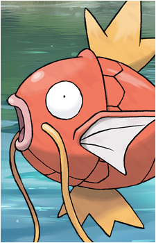 Magikarp's image