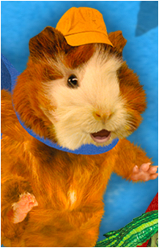 Linny the Guinea Pig's image