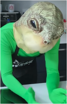 Vedal