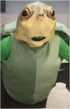 Vedal