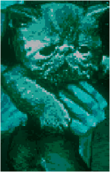 Image 2 Image 2