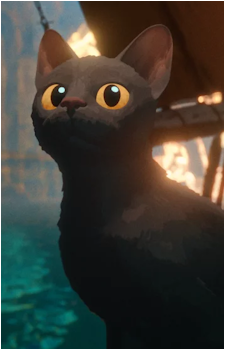 Cat {Flow}
