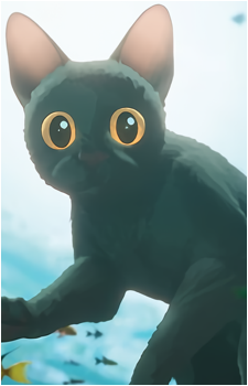 Cat {Flow}