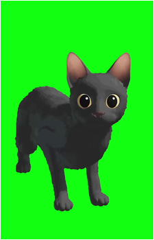 Cat {Flow}