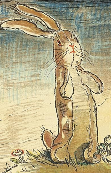 Velveteen Rabbit's image