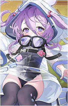 Flasher's image