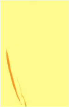 Lilisen