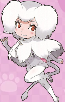 Hamadryas Baboon