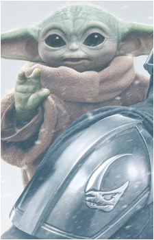 Image 31