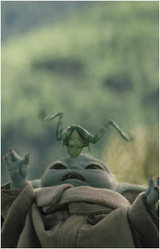 Image 35
