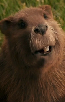 Mr. Beaver's image