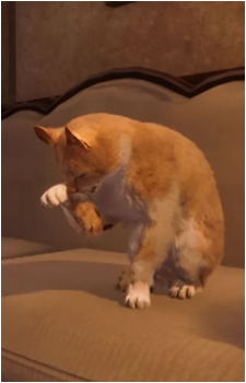 Image 2 Image 2