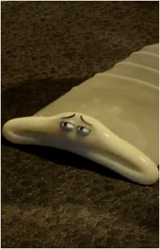 Condom's image