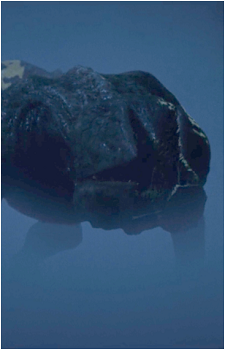 Image 2 of Dart