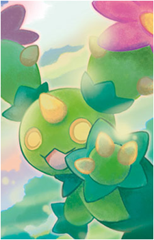 Image 11 of Maractus