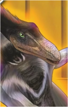 Image 3 Image 3