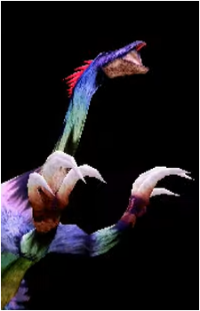 Image 4 Image 4