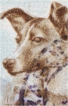 Image 2 Image 2