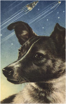 Laika the Space Dog's image