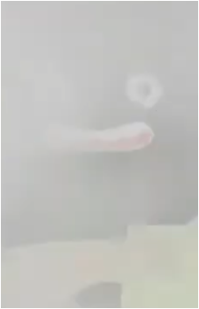 Nema {Pengel}'s image