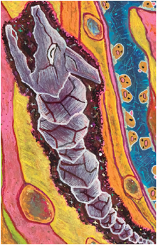 Onix