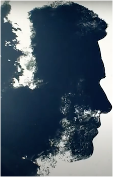 Jason Bull's image