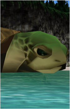 Giant Turtle's image