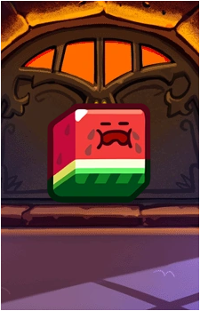 Square Watermelon