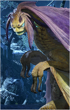 Somnacanth's image