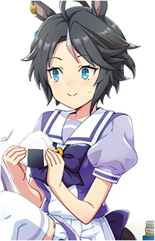 Fuji Kiseki