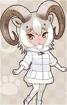 Dall Sheep