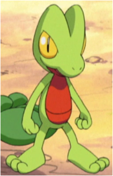 Ash's Sceptile Image
