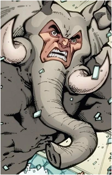 Elephant's image
