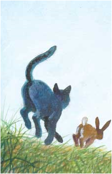 Crowfeather