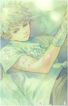 Image 7 Image 7